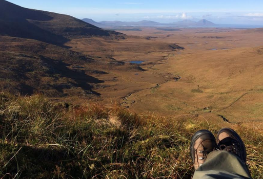 Mayo Trail article feature image