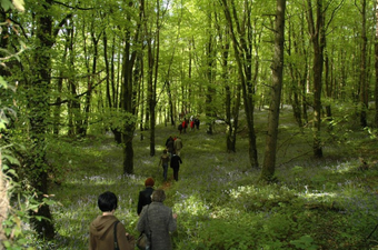 This Has To Be One Of The Most Special Walking Trails In Ireland