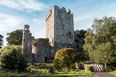 Take A Trip To Blarney Castle To Visit Ireland’s Tree Of The Year
