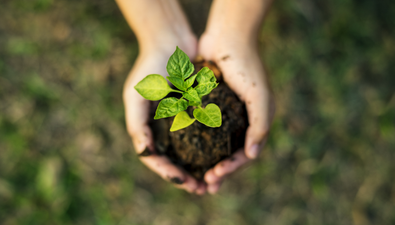 QUIZ: How Sustainable Are You?