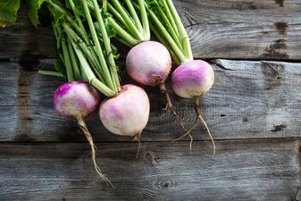 The Ballydehob Turnip Race Is Making Headlines Across The Waters In America