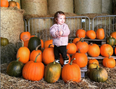 Nine Pumpkin Patches To Visit Around Ireland