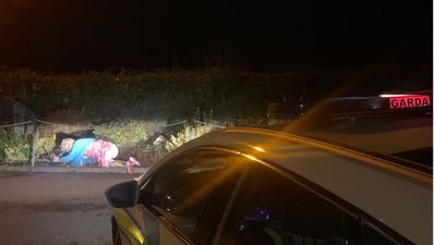 Gardaí Tweet Bizarre Photo Of Agnes Brown Passed Out On The Street