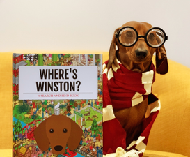 You can now make a ‘Where’s Wally’ type book featuring your dog