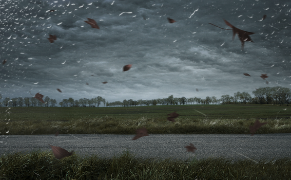 Storm Atiyah will affect parts of Ireland this weekend