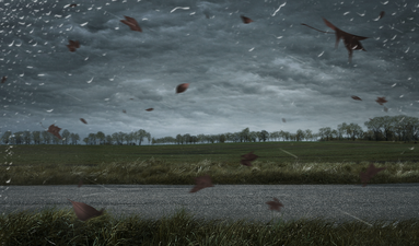 Storm Elsa results in orange weather warning being issued for Cork