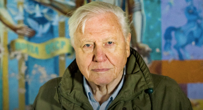 Seven Irish cinemas will hold a Q&A with David Attenborough this April
