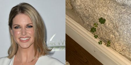 Amy Huberman found shamrocks growing INSIDE her house, had a mini parade to celebrate