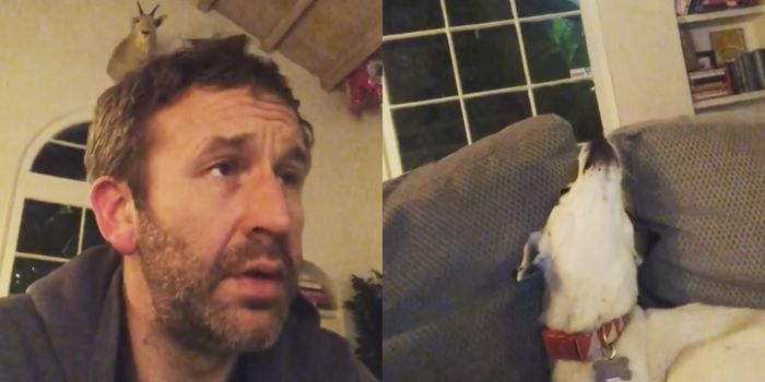 Chris O'Dowd's dog