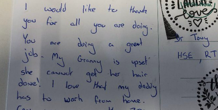 Tipp girl writes to Tony Holohan asking him to open the zoo before her birthday