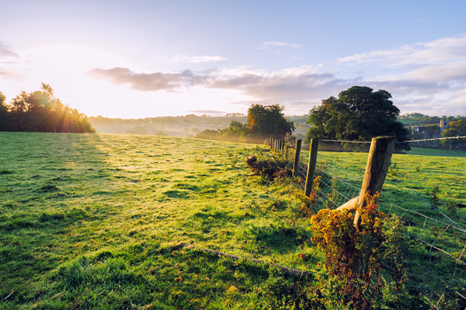 Chris O'Dowd homesick