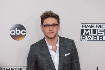 Niall Horan donates €100K to ALONE