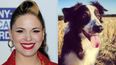 “13 years of love” – Imelda May posts touching tribute to her dog and best pal Alfie
