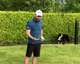 WATCH: Padraig Harrington fails to impress his dog Wilson with his golfing skills