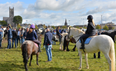 Organisers confirm cancellation of Ireland’s oldest horse fair