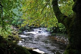 Five of the best spots in Ireland for a wild camping trip this summer