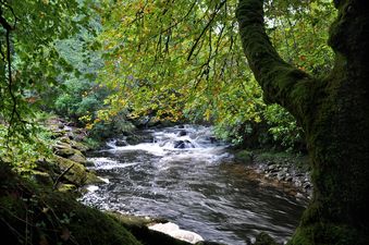 Five of the best spots in Ireland for a wild camping trip this summer