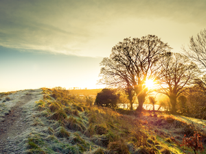 Met Éireann forecast frost for tonight as bizarre July continues