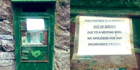 Only in Ireland – This Cork postbox is out of use for the most adorable reason