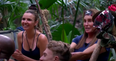 I’m A Celebrity 2020 officially confirmed