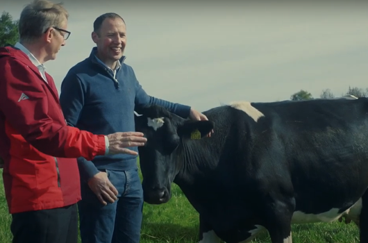 Rewarding Passion: Patrick Wall visits the award-winning Mckenna farm in Monaghan