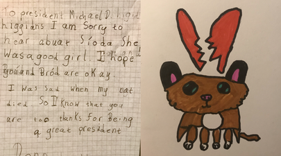 ‘I’m sorry about Síoda’ – Limerick youngster pens heartfelt letter to Michael D 