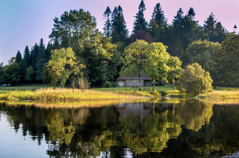 People are celebrating their 'Cavanness' in honour of the first-ever global 'Cavan Day''