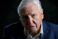 WATCH: Sir David Attenborough has an important message for the public