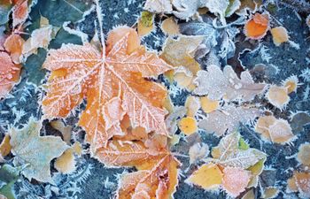 Prepare for a cold week as temperatures drop to -2 tonight