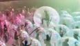 WATCH: The Flaming Lips performed to a crowd in giant inflatable bubbles this week