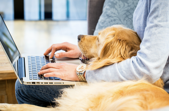 Working from home? Here's all the home office inspo you need