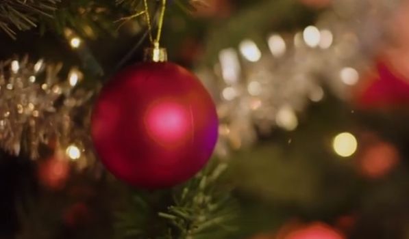 Irish Women in Harmony