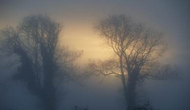 Status Yellow Fog Warning issued for much of the country