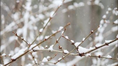 Met Éireann issue status yellow snow and ice warning