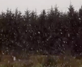 WATCH: It’s already snowing in parts of Ireland