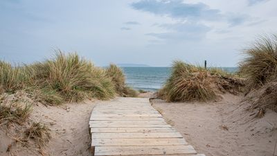 It looks like we’ll be getting out for our New Year’s Day walk with “bright sunny spells”