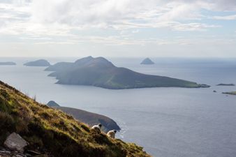Two people wanted to manage accommodation on Great Blasket Island once again
