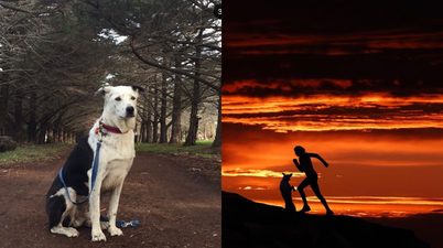 Sonia O’Sullivan shares heartbreak at losing family dog after ’11 fun-filled years’