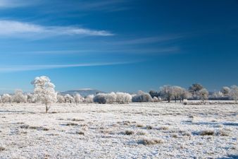 Weather update as warning issued for ‘significant snow accumulations’ in one county