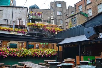 Irish immunologist – “We’ll be back in beer gardens by June”