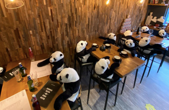 Irish restaurant fills tables with panda customers to put a bit of life back in the place