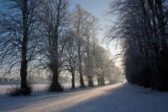 Office of Emergency Planning shares advice to the public ahead of ‘severe’ weather conditions 