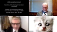 “Make sure there’s no bad meme on your computer” – Viral cat lawyer speaks out on hilarious video
