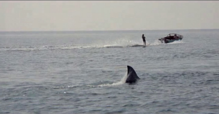 The nine best movies on TV this cold Friday night