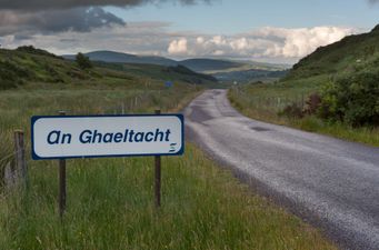 Outrage as student teachers learn virtual Gaeltacht will cost them €650 to attend