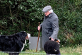 President Higgins has confirmed the name of his new dog
