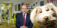 WATCH: Micheál Martin meets Séamus the Dog in Home School Hub preview