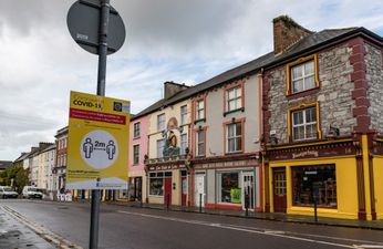 TD calls for “Level 3 for June and Level 2 for July” as Government prepares for restrictions update