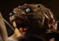 Zombeavers is one of the most terrible yet ironically brilliant movies you can watch on Netflix right now