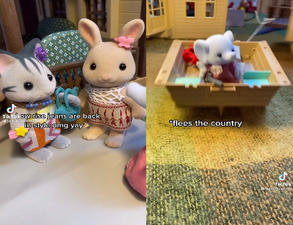 The week in Tik Toks – The Joey meme comes alive and more